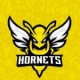 SPORTING HORNETS ROMA